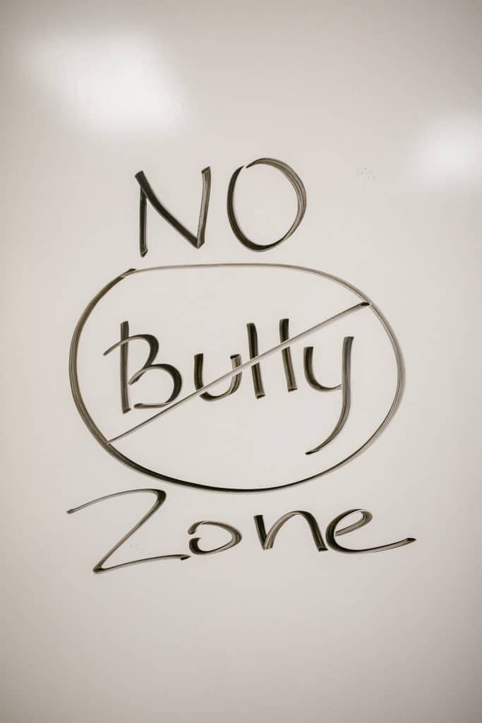 No Bully Zone